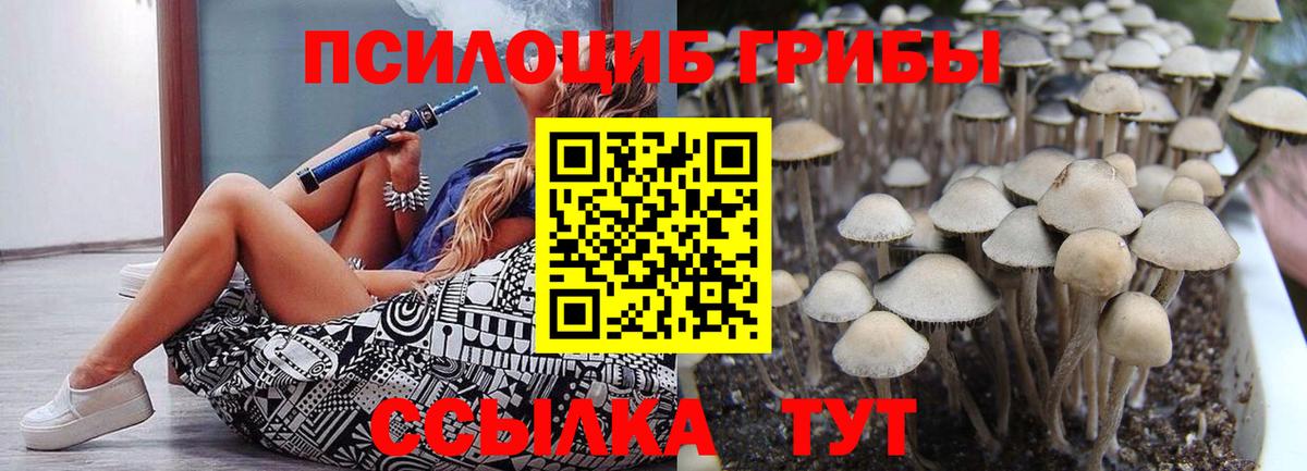 Фрязино  Псилоцибиновые грибы Cubensis  Вход с VPN  Псилоцибиновые грибы Psilocybe 